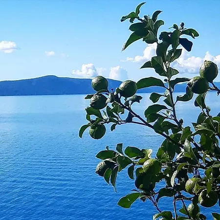 Апартаменты Jurlinka *