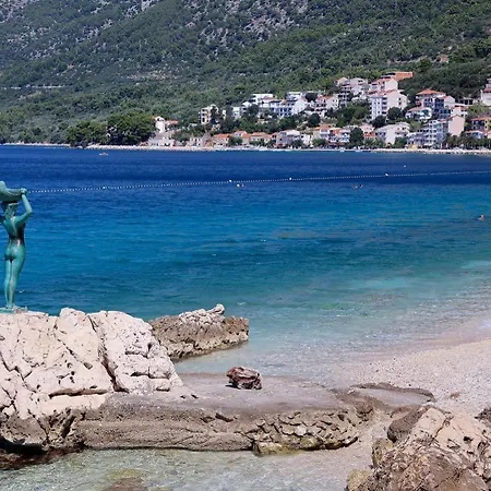 Jurlinka * Живогошче